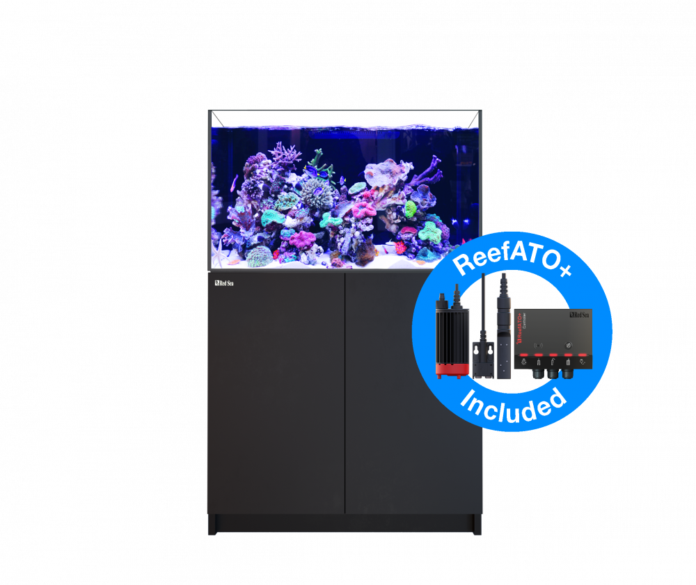 Red Sea Reefer 300 G2+ Meerwasseraquarium Komplettset